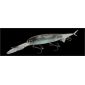 IMAKATSU BABY KILLER BILL MINNOW 3D