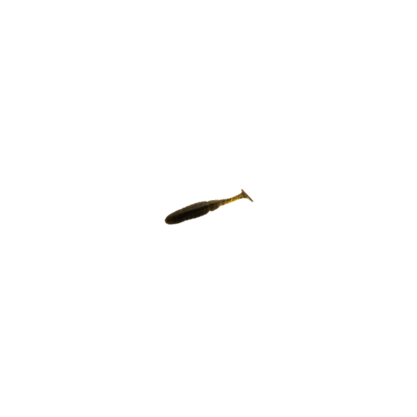 BAIT BREATH BYS T.T. SHAD 4.8