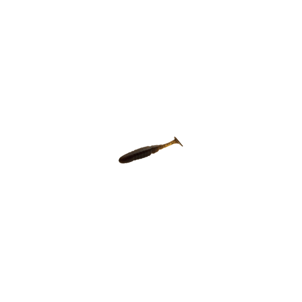 BAIT BREATH BYS T.T. SHAD 4.8