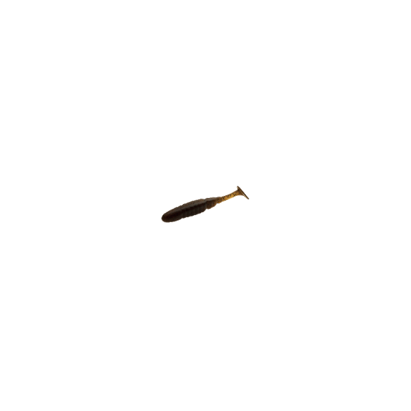 BAIT BREATH BYS T.T. SHAD 4.8