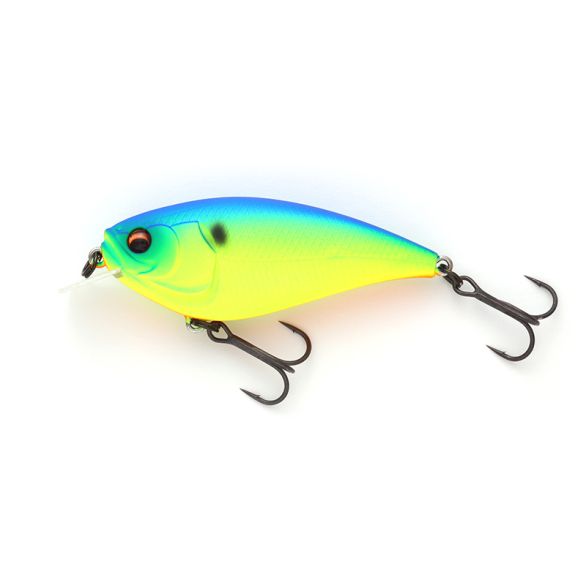 IMAKATSU GEKIASA FLAT