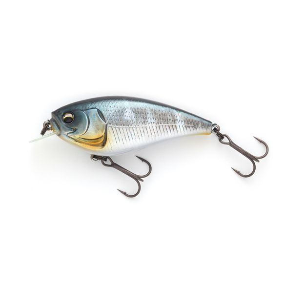 IMAKATSU GEKIASA FLAT