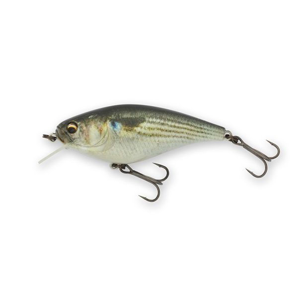 IMAKATSU GEKIASA SHAD - INAKKO