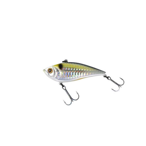 DETOUR HEART ATTACK 70S TYPE R