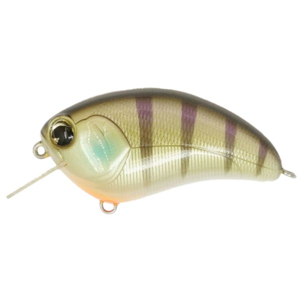 IMA SQUARE BILL - BLUEGILL