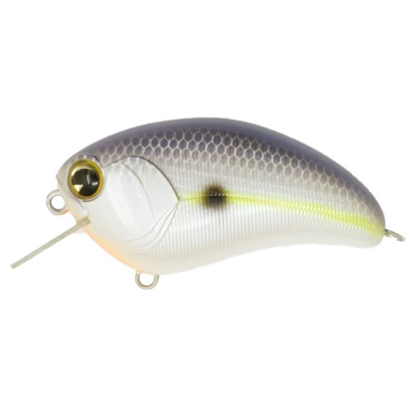IMA SQUARE BILL - CHARTRUESE SHAD