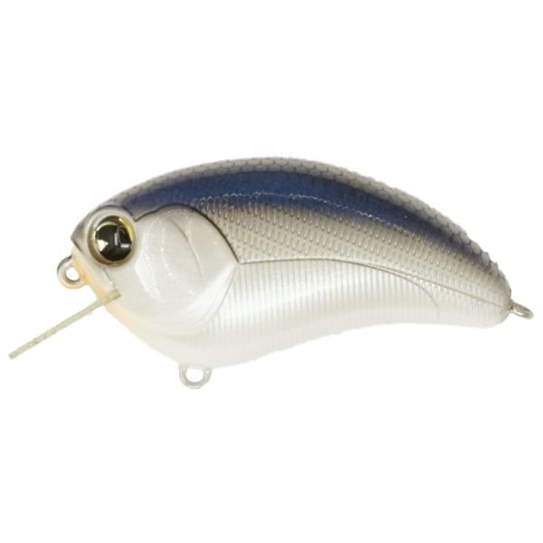 IMA SQUARE BILL - TENNESSEE SHAD