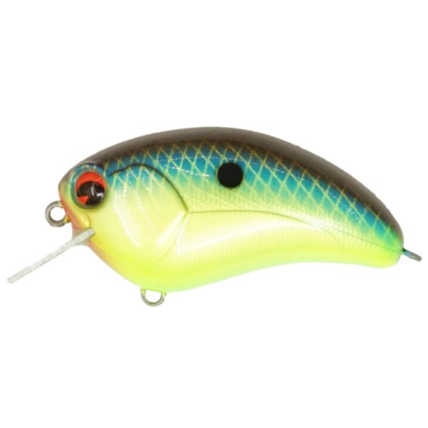 IMA SQUARE BILL - CHARTRUESE SMASH