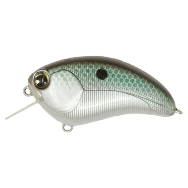 IMA SQUARE BILL - GREEN GIZZARD SHAD