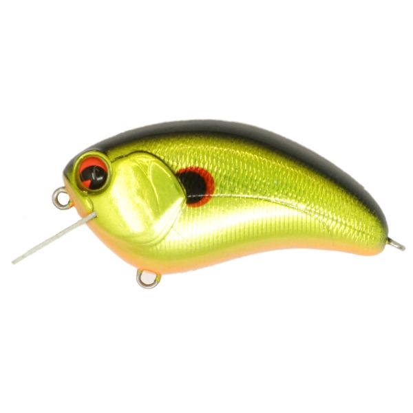 IMA SQUARE BILL - SUN GRANNY