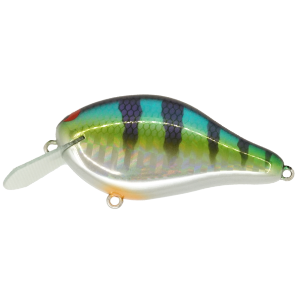 IMA SHAKER - BIWAKOGILL