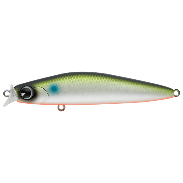 IMA KOSUKE 85F
