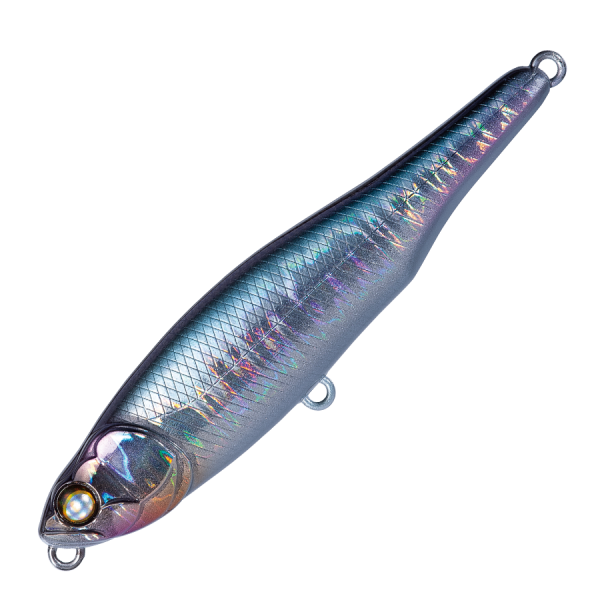 WHIPLASH LIVE WIRE TRAVIESO - ADEYAKA KETABASU