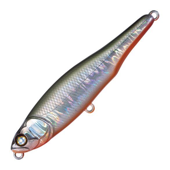 WHIPLASH LIVE WIRE TRAVIESO