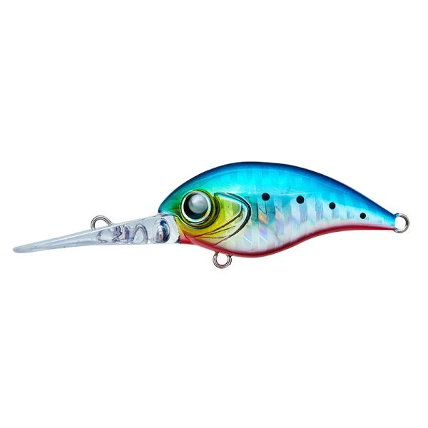 AQUAWAVE MIYABIS 45DR - IWASHI R.B.