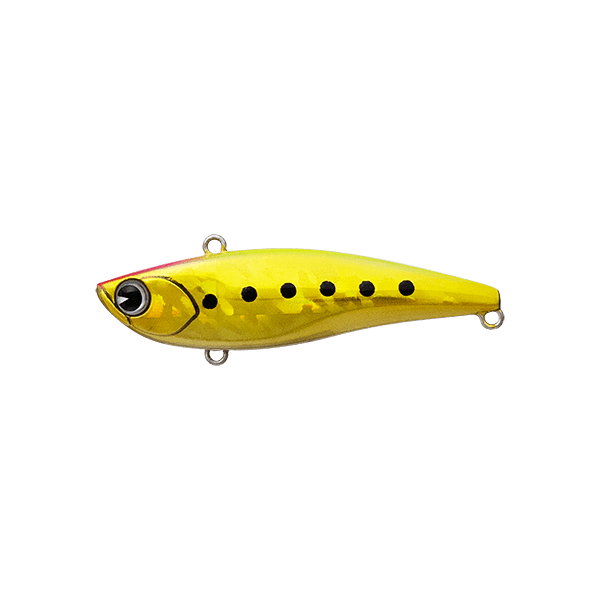 IMA RAIKIRI 70 - GOLD CHARTREUSE SARDINES