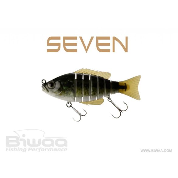 BIWAA SEVEN 5