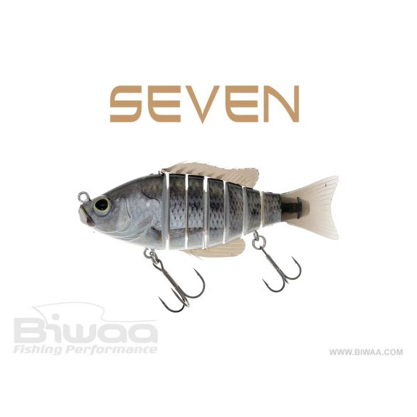 BIWAA SEVEN 6