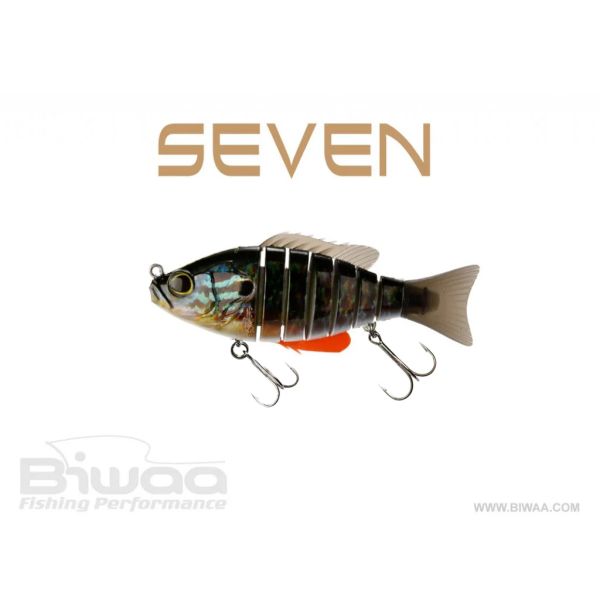 BIWAA SEVEN 6