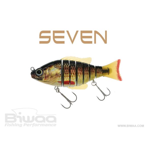 BIWAA SEVEN 5