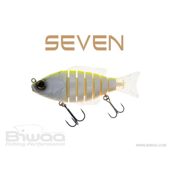 BIWAA SEVEN 6