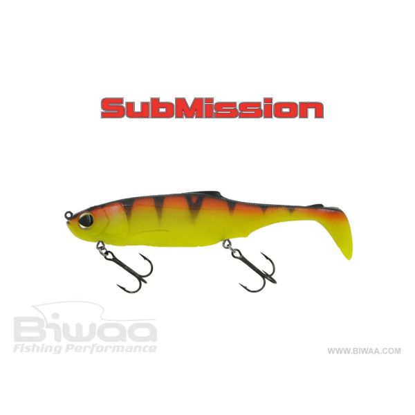 BIWAA SUBMISSION RIGGED 8